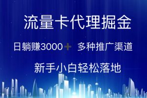 (10952期)流量卡代理掘金 日躺赚3000+ 多种推广渠道 新手小白轻松落地
