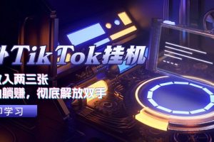 (10994期)海外TikTok挂机,每天收入两三张,全自动躺赚,彻底 解放双手!