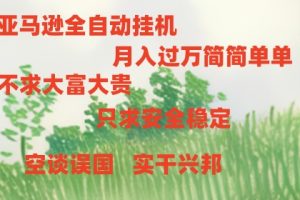 (10997期)亚马逊全自动浏览挂机
