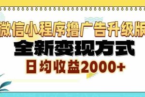 （13186期）微信小程序撸广告升级版，全新变现方式，日均收益2000+