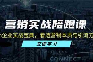 （13146期）营销实战陪跑课：中小企业实战宝典，看透营销本质与引流方法论