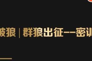 群狼出征密训营第3期：万能引流的底层逻辑公式首度公开解密！——流量爆破必修课