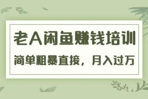 老A《闲鱼赚钱培训》简单粗暴直接，月入过万真正的闲鱼战术实课（51节课）