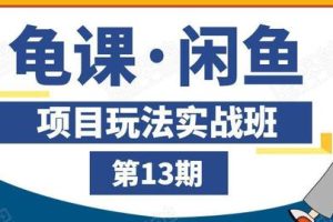 闲鱼项目玩法实战班第13期，轻松玩转闲鱼，多渠道多方法引流到私域流量池！