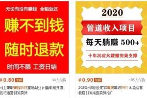 生财有道12个年入10W的新手赚钱暴利CPS项目溯本归源（23节视频课程）