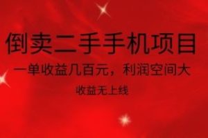 自媒体博主必修课：小红书搞钱大赏，教你打造爆款，如何搞钱（11节课）