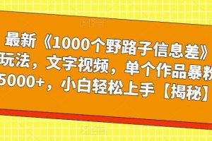 最新《1000个野路子信息差》玩法,文字视频,单个作品暴粉5000+,小白轻松上手【揭秘】