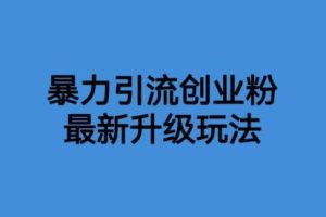 价值1980一千个野路子暴力引流最新升级玩法【揭秘】