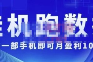 猎人电商:挂机跑数‬据，只需一部手即机‬可月盈利10万＋（内玩部‬法）价值4988元