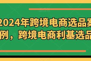 2024年跨境电商选品案例，跨境电商利基选品（更新11月）