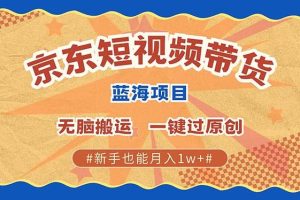（13349期）最新京东短视频蓝海带货项目，无需剪辑无脑搬运，一键过原创，有手就能…