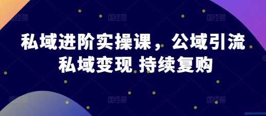 私域进阶实操课,公域引流 私域变现 持续复购