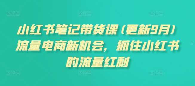 小红书笔记带货课(更新11月)流量电商新机会,抓住小红书的流量红利