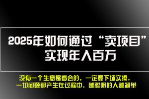 （13468期）2025年如何通过“卖项目”实现年入百万，做网赚必看！！