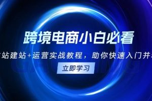 （13503期）跨境电商小白必看！独立站建站+运营实战教程，助你快速入门并精通