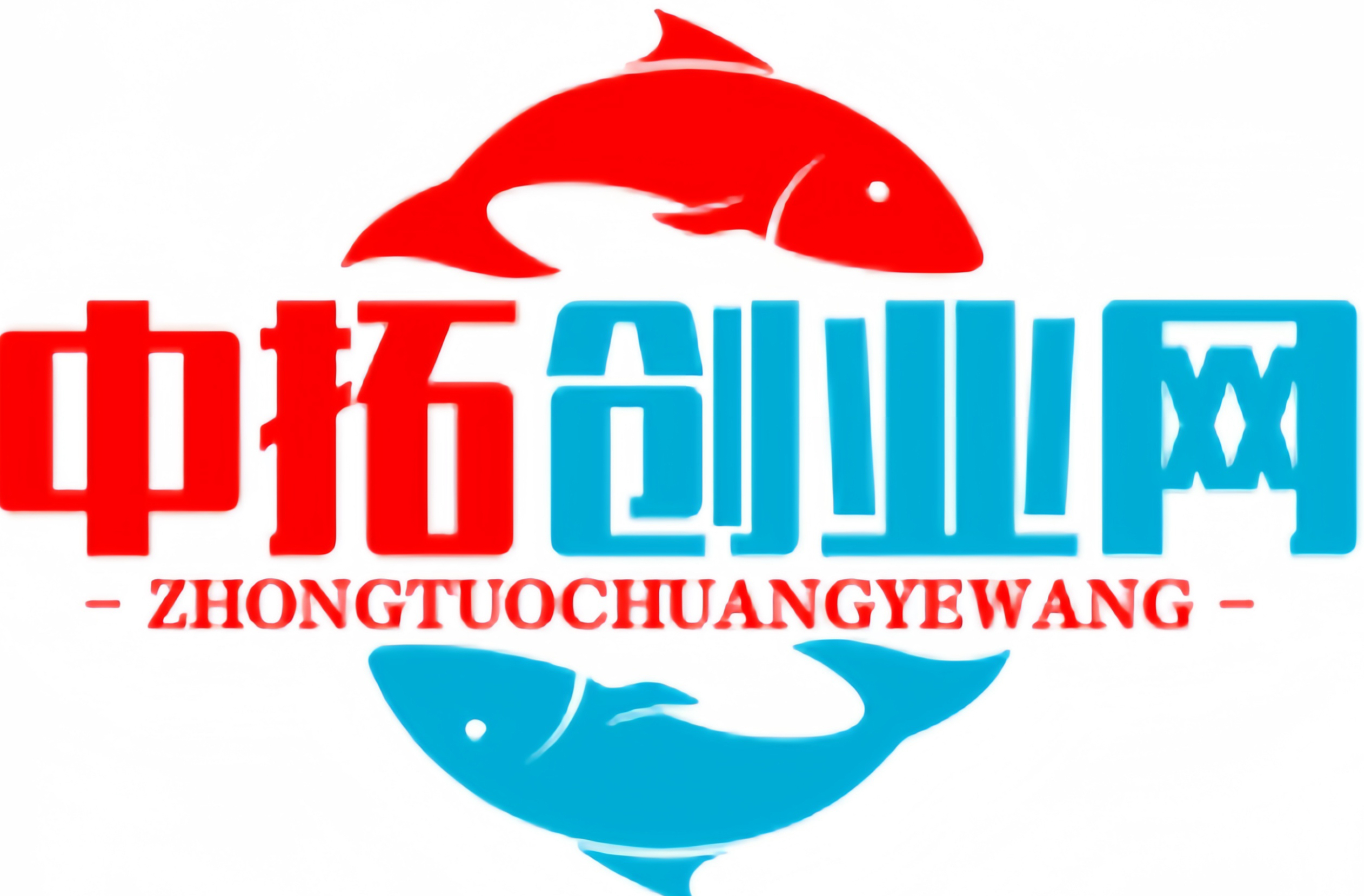 中拓创业网