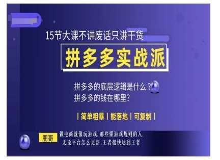 朋哥电商(拼多多实战派),15节大课不讲废话只讲干货,简单粗暴 能落地 可复制