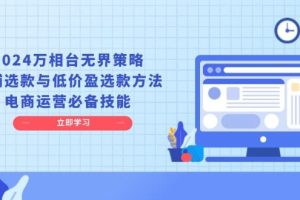 （13633期）2024万相台无界策略，店铺选款与低价盈选款方法，电商运营必备技能