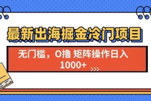 （13672期）最新出海掘金冷门项目，单号日入1000+