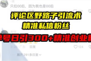 （13676期）评论区野路子引流术，精准私信粉丝，单号日引流300+精准创业粉