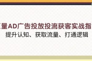 （13872期）巨量AD广告投放投流获客实战指南，提升认知、获取流量、打通逻辑
