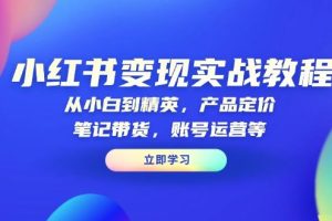 （13923期）小红书变现实战教程：从小白到精英，产品定价，笔记带货，账号运营等