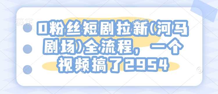 0粉丝短剧拉新(河马剧场)全流程,一个视频搞了2954
