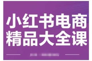 小红书电商精品大全课，快速掌握小红书运营技巧，实现精准引流与爆单目标，轻松玩转小红书电商