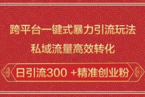 跨平台一键式暴力引流玩法，私域流量高效转化日引流300 +精准创业粉