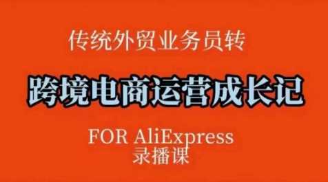 跨境电商速卖通运营课,运营方法论+后台实操,逻辑清晰