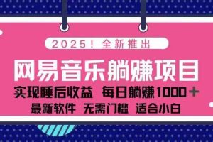 （14185期）2025最新网易云躺赚项目 每天几分钟 轻松3万+