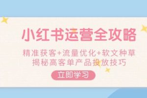 （14207期）小红书运营全攻略，精准获客+流量优化+软文种草，揭秘高客单产品投放技巧