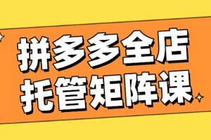 （14328期）拼多多全店托管矩阵课，盈利动销玩法，高效计划设置，提升店铺效益