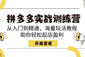 （14392期）拼多多实战训练营，从入门到精通，海量玩法教程，助你轻松起店盈利