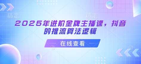 2025年进阶金牌主播课,抖音的推流算法逻辑