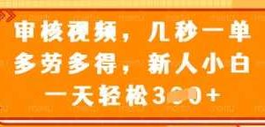 审核视频，几秒一单，多劳多得，新人小白一天轻松3张【揭秘】