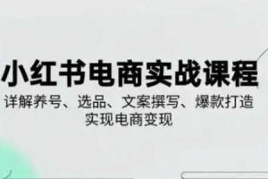 小红书从0-1实操课(2023-2025)，详解养号、选品、文案撰写、爆款打造实现电商变现