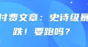 付费文章：史诗级暴跌！要跑吗？