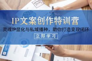 （14330期）IP文案创作特训营，灵魂IP显化与私域播种，助你打造变现闭环（14节课）