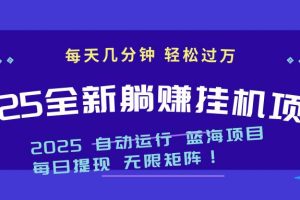（14608期）2025z最新挂机躺赚项目 一个月轻松上万