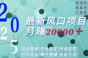（15694期）2025广告赛道新风口-月赚2W＋玩法简单，时间自由