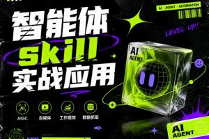 智能体skill实战应用，为寻求利用智能体进行工作提效的人打造，案例演示，纯实战课