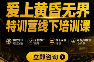 爱上黄昏无界特训营AI推广实战7月27-30杭州线下课,AI落地淘宝最完整的课程,学天猫淘宝的老板必看
