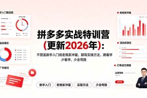 （19724期）拼多多实战特训营(更新2026年)：不管是新手入门或老商家冲量，都有实操方法，跟着学，少走弯路