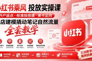 (19739期)小红书乘风投放-100分钟实操课|开户返点·标准投搭建·莱卡定向,新店建模撬动笔记自然流量全套教学