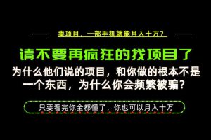 为什么做项目的人大多都是炮灰？为什么只有卖项目才能稳？看完你也可以月入10W+【揭秘】