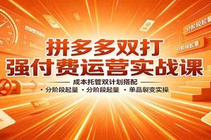 拼多多双打强付费运营实战课:成本托管双计划搭配,分阶段起量,单品裂变实操