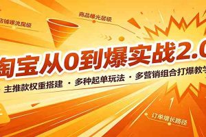淘宝从0到爆实战2.0:主推款权重搭建,多种起单玩法,多营销组合打爆教学