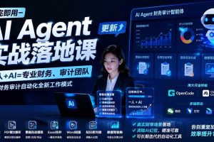 （19740期）学完即用—AI Agent实战落地课-更新：一人+AI=专业财务、审计团队，解锁财务审计自动化全新工作模式