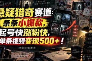 悬疑猎奇赛道：条条小爆款，起号快涨粉快，单条视频变现500+！收益仅供参考